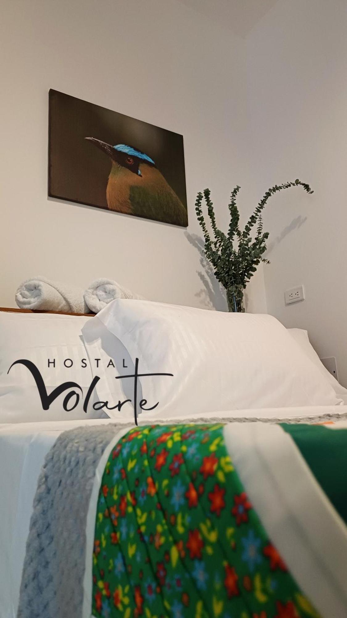 Volarte Hostal Jardin Εξωτερικό φωτογραφία