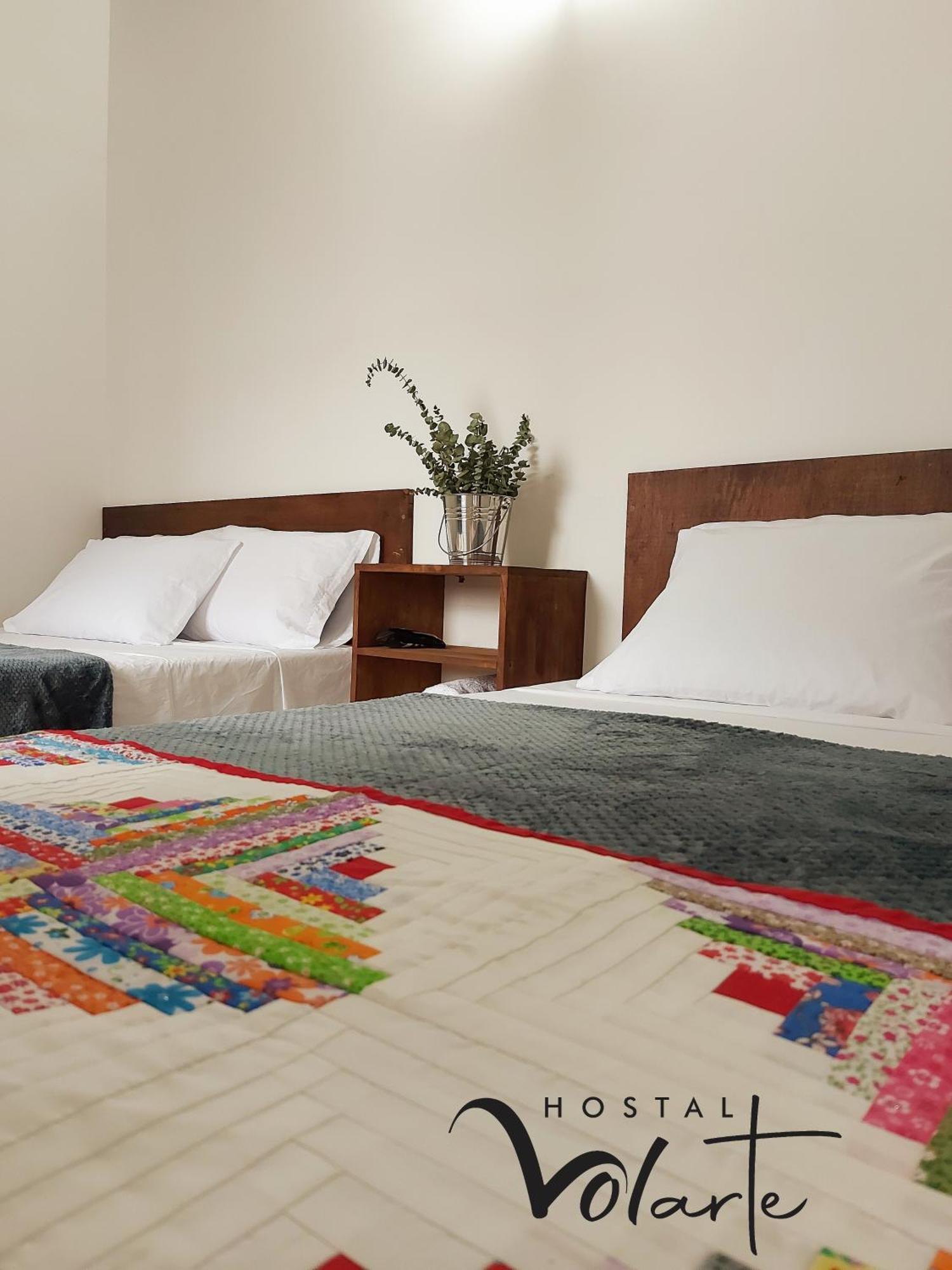 Volarte Hostal Jardin Εξωτερικό φωτογραφία
