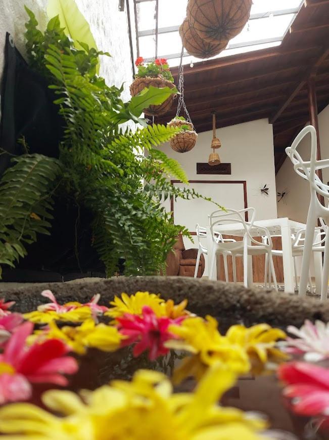 Volarte Hostal Jardin Εξωτερικό φωτογραφία